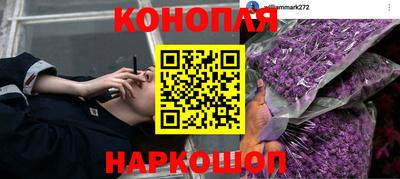 2c-b Камышлов