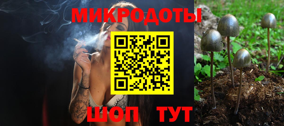 Елизово  Псилоцибиновые грибы Magic Shrooms  Вход с VPN  Галлюциногенные грибы ЛСД 